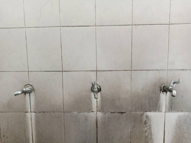 Best Flooded house restoration  in Del Rey Oaks, CA