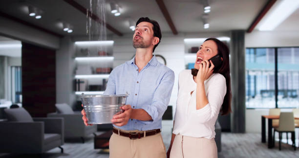 Best Water damage restoration experts  in Del Rey Oaks, CA