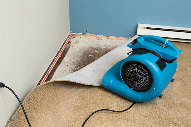 Best Commercial water damage restoration  in Del Rey Oaks, CA